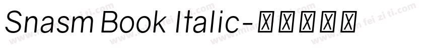 Snasm Book Italic字体转换